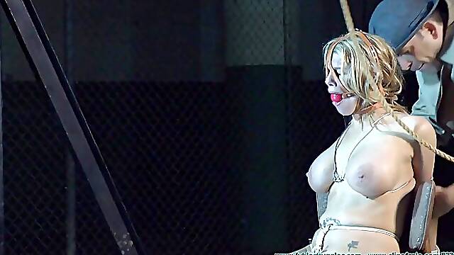 Carissa Hom Sign Part2