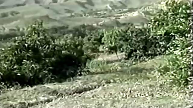 A Discharged In The Throat [full movie] (Paula Price, Lauren Brice, Raven Richards, Kim Alexis)