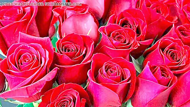 Bangla choto golpo magnificent aunty poke by hasband acquaintance in hotel Bangla choto golpo Bangla audio story