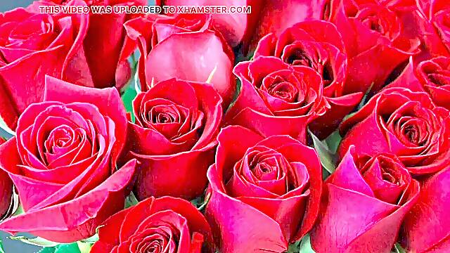 Bangla choto golpo magnificent mature saree chachi cuckold hasband full story in Bangla audio choto golpo Bangla choti story