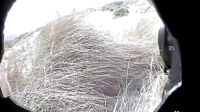 Sex with Susanne in Mallorca in the dunes