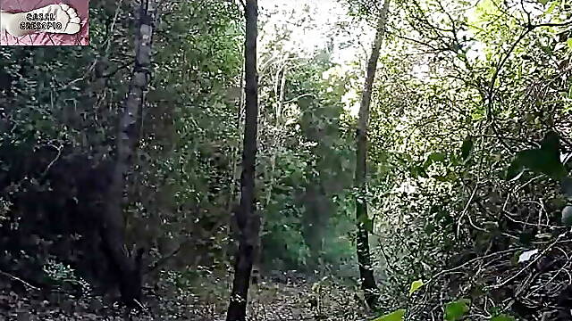 Dominated in Forest 3