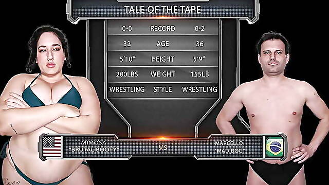 Mimosa Vs Marcelo