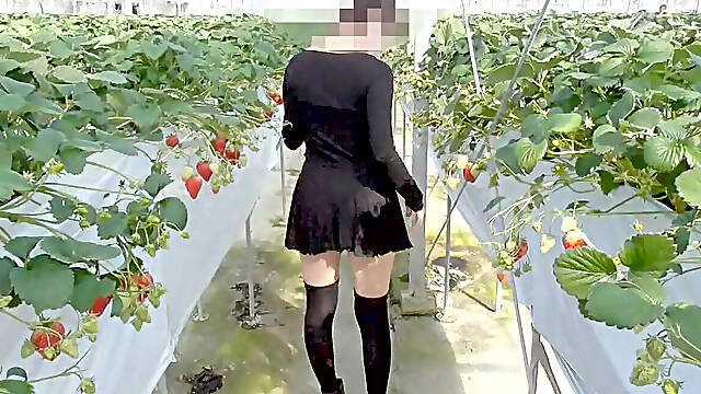 [short Story Compilation] Mayu No.44-46 Cosplay, Squirting, Deep Throat,, Convulsions, Exhibitionism, Semen Swallowing